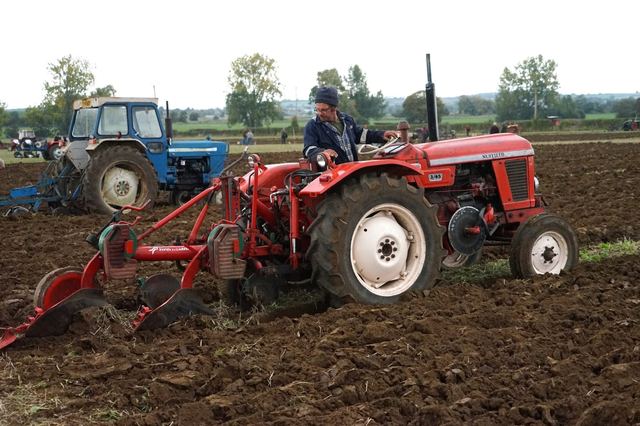 Bridgwater & District Ploughing Match 2025 photo 5