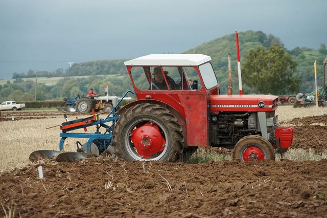 Bridgwater & District Ploughing Match 2025 photo 7