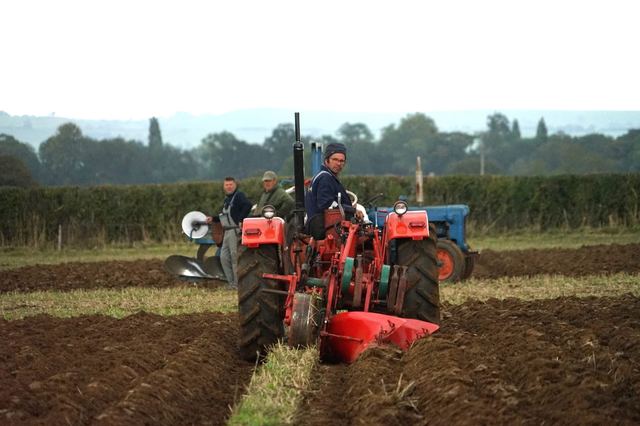 Bridgwater & District Ploughing Match 2025 photo 13
