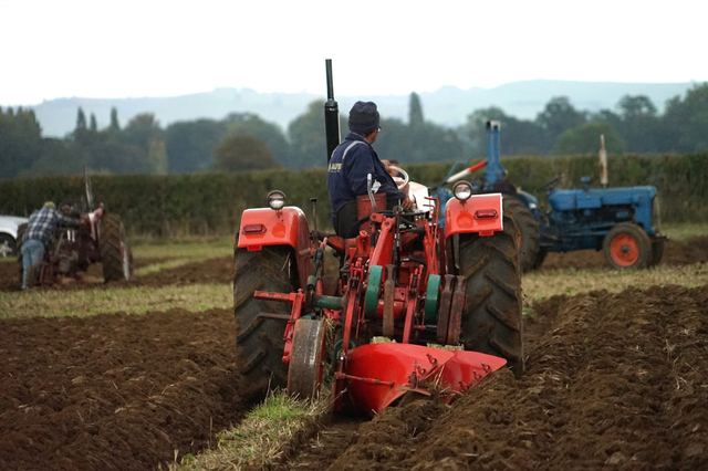 Bridgwater & District Ploughing Match 2025 photo 25