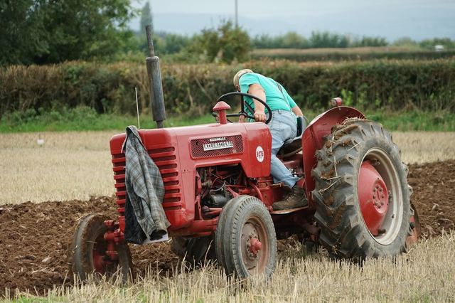 Bridgwater & District Ploughing Match 2025 photo 29