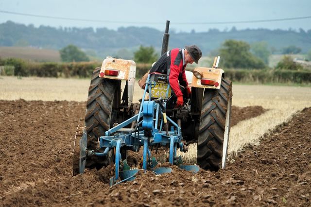 Bridgwater & District Ploughing Match 2025 photo 35