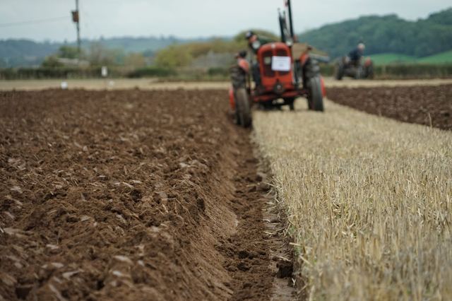 Bridgwater & District Ploughing Match 2025 photo 37