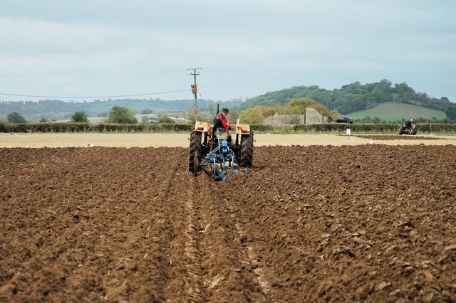Bridgwater & District Ploughing Match 2025 photo 52