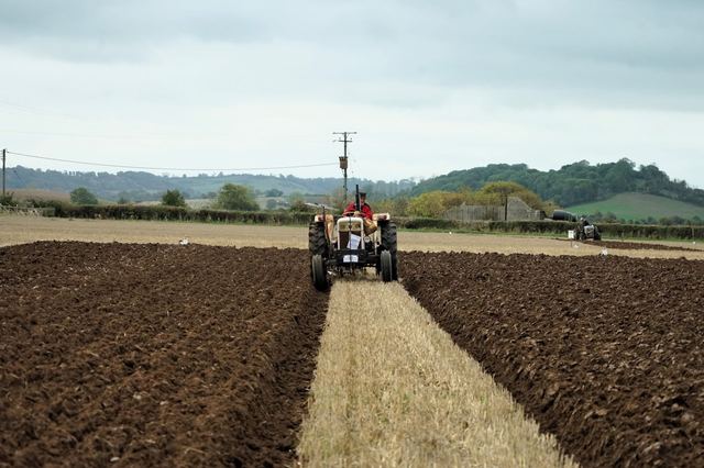 Bridgwater & District Ploughing Match 2025 photo 66