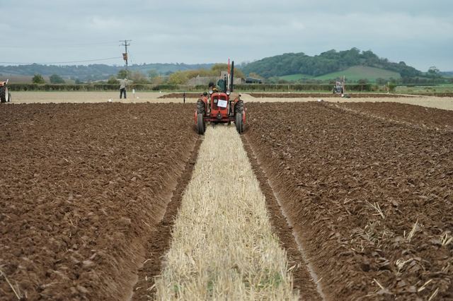 Bridgwater & District Ploughing Match 2025 photo 91