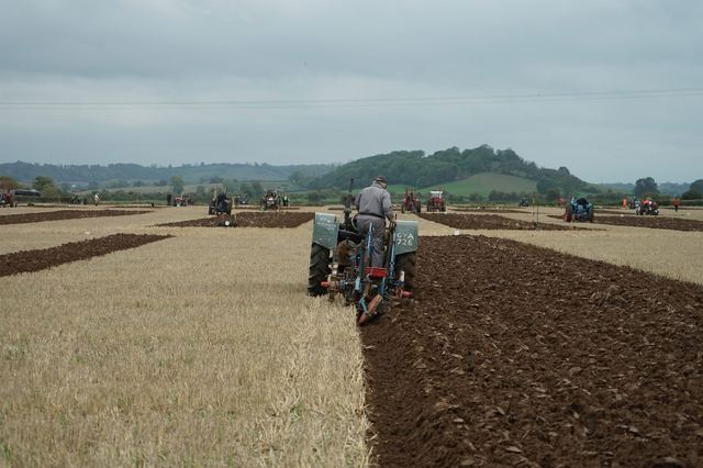 Bridgwater & District Ploughing Match 2025 photo 98