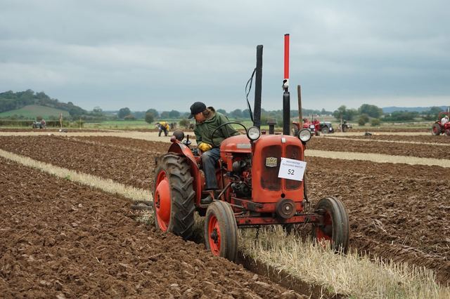 Bridgwater & District Ploughing Match 2025 photo 119