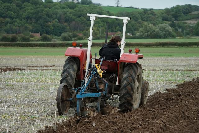 Bridgwater & District Ploughing Match 2025 photo 133