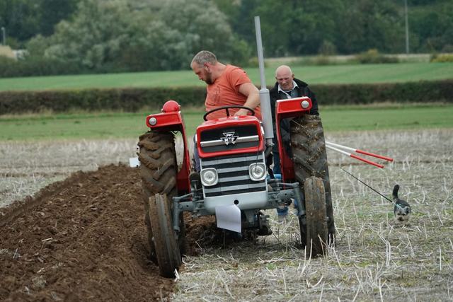 Bridgwater & District Ploughing Match 2025 photo 134