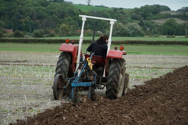 Bridgwater & District Ploughing Match 2025 photo 136