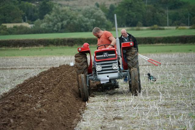 Bridgwater & District Ploughing Match 2025 photo 150