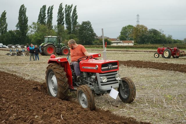 Bridgwater & District Ploughing Match 2025 photo 151