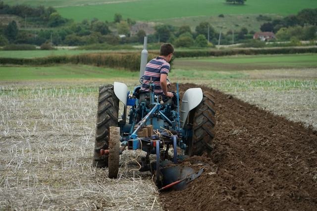 Bridgwater & District Ploughing Match 2025 photo 163