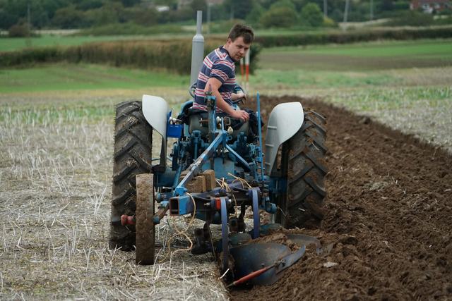 Bridgwater & District Ploughing Match 2025 photo 165