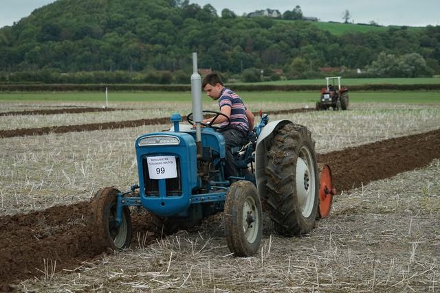 Bridgwater & District Ploughing Match 2025 photo 168