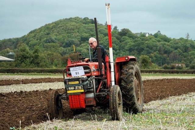 Bridgwater & District Ploughing Match 2025 photo 169