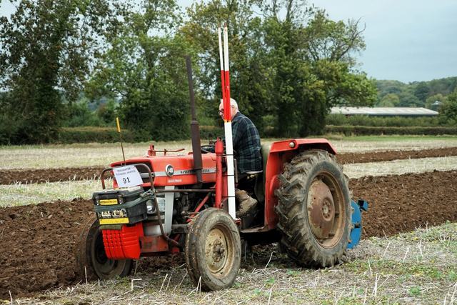 Bridgwater & District Ploughing Match 2025 photo 175
