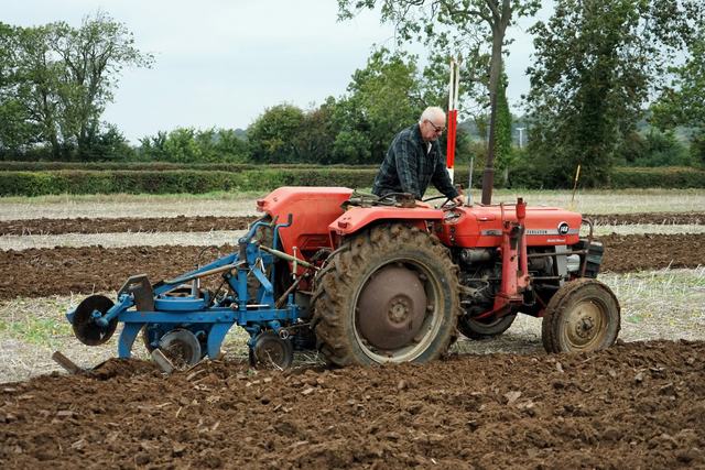 Bridgwater & District Ploughing Match 2025 photo 179