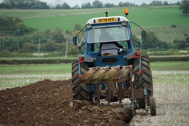 Bridgwater & District Ploughing Match 2025 photo 201